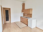 Pronájem bytu 1+kk (č.1), Riegrova ulice, cena 10000 CZK / objekt / měsíc, nabízí 