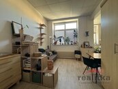 Pronájem bytu 1+kk, 30m2, Opava, ul. Olbrichova, cena 7000 CZK / objekt / měsíc, nabízí 