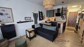 Pronájem zařízeného bytu 1+kk s lodžií, Opava, ul. Antonína Sovy, cena 10500 CZK / objekt / měsíc, nabízí 