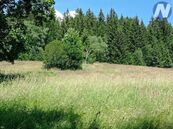 Černá Lada, pozemek s výměrou 22.888 m2, cena 3435000 CZK / objekt, nabízí 