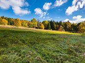 Prodej rozlehlých pozemků 39.564 m2 České Žleby, cena cena v RK, nabízí NEMO reality, s.r.o.