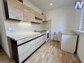 Pronájem světlého bytu 2+1 58 m2 se zahradou, Ostrov - Staré Prachatice, cena 12000 CZK / objekt / měsíc, nabízí 