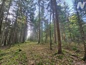 Prodej lesa, 9174 m2, obec Borovany, okr. České Budějovice, cena 344500 CZK / objekt, nabízí NEMO reality, s.r.o.