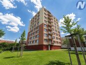 Prachatice, pronájem družstevního bytu 1+1 s balkonem, cena 9800 CZK / objekt / měsíc, nabízí NEMO reality, s.r.o.