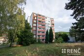 Prodej bytu 2+kk (42 m2) se zasklenou lodžií (5 m2), šatnou a krásným výhledem do lesů, na ul. Proko, cena 6900000 CZK / objekt, nabízí RENČ - realitní kancelář