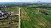 ovocný sad Horní Bojanovice, cena 152 CZK / m2, nabízí Solid real, s.r.o.