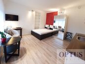 P4 Braník, Za Mlýnem, moderní zař. byt 1 + k. k. ve vile, 24 m2, 13.500 Kč/měsíc, cena 13500 CZK / objekt / měsíc, nabízí OPTUS Reality s.r.o.