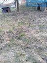 Pronájem zahrady 581m2 v obci Dětkovice,okr. Prostějov, cena 3000 CZK / objekt / měsíc, nabízí REALITY POLZER