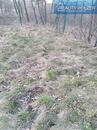 Pronájem zahrady 581m2 v obci Dětkovice,okr. Prostějov, cena 3000 CZK / objekt / měsíc, nabízí 