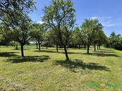 Prodej stavebního pozemku 2980 m2, Bílé Poličany, okres Trutnov, cena 3690000 CZK / objekt, nabízí 