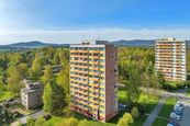 Pronájem kompletně zrekonstruovaného a vybaveného bytu 1+1 s lodžií, cena 12500 CZK / objekt / měsíc, nabízí S&L a partners s.r.o.
