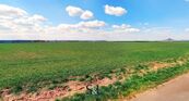 Prodej podílu 1/2 zemědělská půda, 45 702 m - Budyně nad Ohří - Břežany nad Ohří, cena 1050000 CZK / objekt, nabízí 