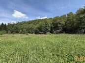 Prodej louky 3 200 m, Bílovice nad Svitavou, cena 1100000 CZK / objekt, nabízí 