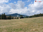 Prodej, Louka, pastvina, Horská Kvilda, cena cena v RK, nabízí 