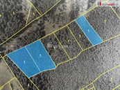 Prodej, Les, Nebahovy, cena cena v RK, nabízí 