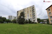 Pronájem, Byt 1+1, Mariánské Lázně, cena 9000 CZK / objekt / měsíc, nabízí 
