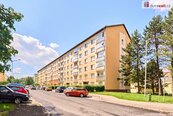 Prodej, Byt 1+1, Horní Slavkov, cena 1150000 CZK / objekt, nabízí 