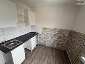 Byt 1+1, ul. Lesní, cena 7300 CZK / objekt / měsíc, nabízí 