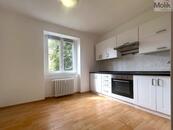 Byt 1+1, ul. Lesní, Most