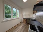 Pronájem bytu 2 + 1 s lodžií, ul. Pionýrů, Most, 54 m2, cena 8000 CZK / objekt / měsíc, nabízí 