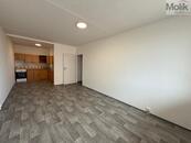 Pronájem bytu 2kk s lodžií, ul. Aléská, Pražské Předměstí, Bílina, okres Teplice, 48 m2