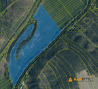 Prodej louky 123 742 m, cena 4950000 CZK / objekt, nabízí 