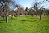 Prodej zahrady,CP 363m2, Bučovice-Kloboučky, cena 300000 CZK / objekt, nabízí 