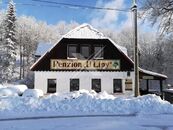 Prodej penzionu s pozemkem 1217 m2, Josefův důl, Jizerské hory, cena 9990000 CZK / objekt, nabízí 