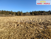 Prodej, Louka, pastvina, Černá v Pošumaví, cena 2950000 CZK / objekt, nabízí 