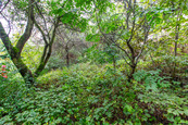 Prodej pozemku 644 m2, Praha - Hloubětín. , cena 3750000 CZK / objekt, nabízí Soccer Reality s.r.o.
