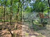 Prodej pozemku v Dubé, Českolipsko. Prodej lesního pozemku o rozloze 1360m2. 