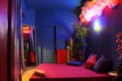 Pronajem erotického salonu 256m2, Praha 3, Žižkov, cena 80000 CZK / objekt / měsíc, nabízí Mgr. Jan Vodenka