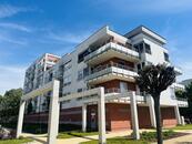 Pronájem světlého bytu 1+1 s balkonem v Rybově ulici, cena 15000 CZK / objekt / měsíc, nabízí 
