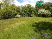 Prodej zahrady 679 m - Krňany, cena 850000 CZK / objekt, nabízí 