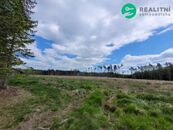 Les po těžbě kůrovce.72939 m2, Heřmaneč u Počátek, cena 1990000 CZK / objekt, nabízí 