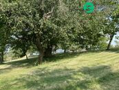 Klidný pozemek 3 359 m na polosamotě u Petrovic, cena 3790000 CZK / objekt, nabízí Realitní samoobsluha s.r.o.