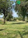 Klidný pozemek 3 359 m na polosamotě u Petrovic, cena 3790000 CZK / objekt, nabízí Realitní samoobsluha s.r.o.