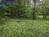 Prodej stavebního pozemku, 637 m2, Jiříkov u Rýmařova, okres Bruntál, cena 500 CZK / m2, nabízí Comfort reality,CZ s.r.o.