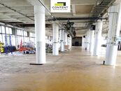 Pronájem skladu, výrobních prostor 973 m, Břeclav, cena 85 CZK / m2 / měsíc, nabízí 