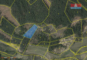 Prodej lesa, 4046 m2, Přechovice, cena 95000 CZK / objekt, nabízí 