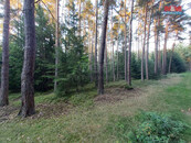 Prodej lesa, 59400 m2, Štichov, cena 1366200 CZK / objekt, nabízí M&M reality holding a.s.