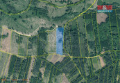 Prodej lesa, 31810 m2, Jetětice, cena 685000 CZK / objekt, nabízí