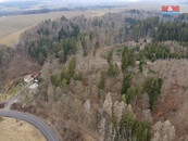 Prodej lesa, 2745 m2, Ústí nad Orlicí