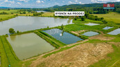 Prodej rybníku, 3000 m2, Ostružno u Jičína