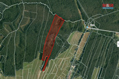 Prodej lesa, 22334 m2, Klikov - Suchdol nad Lužnicí, cena 1250000 CZK / objekt, nabízí 