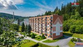 Prodej bytu 1+kk, 21 m2, Jiřetín pod Bukovou, cena 1990000 CZK / objekt, nabízí