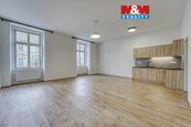 Pronájem bytu 1+kk, 59 m2, Plzeň, ul. Americká, cena 12900 CZK / objekt / měsíc, nabízí 