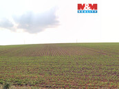 Prodej pole, 2579 m2, Štěpánkovice, cena 1289000 CZK / objekt, nabízí 