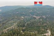 Prodej hospodářského lesa, 6294 m2, Hůrky, cena 222700 CZK / objekt, nabízí 