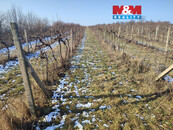 Prodej vinice, 3677 m2, Morkůvky, cena 407700 CZK / objekt, nabízí 